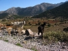 Greece 289